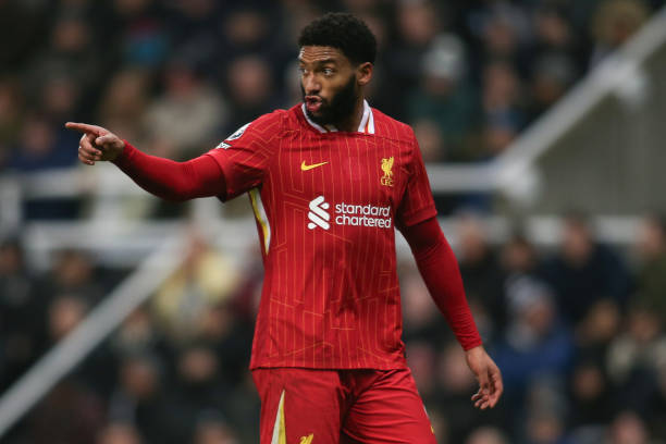 都展现了卓 都展现了卓