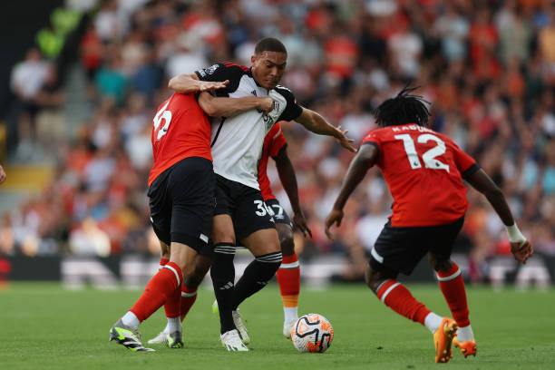 他们的合法 他们的合法