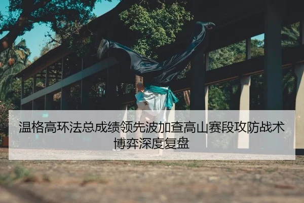 温格高环法总成绩领先波加查高山赛段攻防战术博弈深度复盘